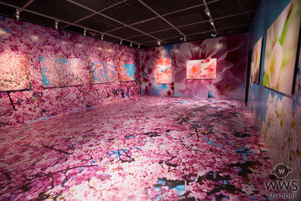蜷川実花の個展に西島隆弘（AAA）、ももクロ、ふなっしー ら118組の著名人の人物作品が展示！
