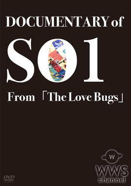 俳優・平間壮一 初の単独DVD DOCUMENTARY of SO1 From「The Love Bugs」が完成！