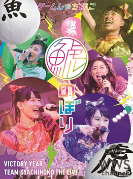 名古屋発のアイドルユニット・チームしゃちほこが史上最大ボリュームのLIVE映像作品を9月7日に発売！
