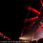 【ライブレポート】電気グルーヴが『Fallin'Down』など披露！VIVA LA ROCK 2015