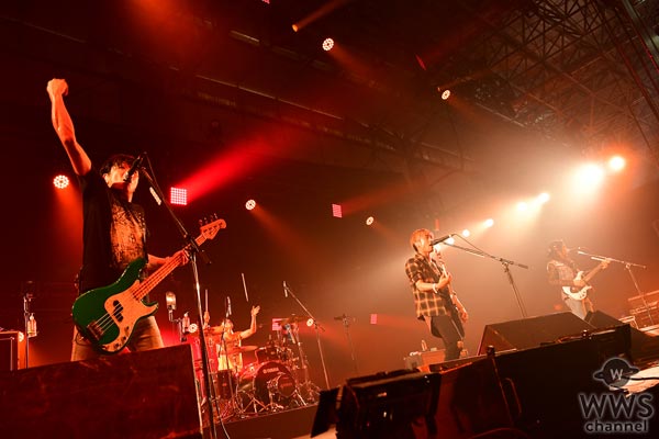 TOTALFATがCOUNTDOWN JAPAN 16/17で魅せつける！フロアと作り上げる最高のお祭り騒ぎが今始まる！