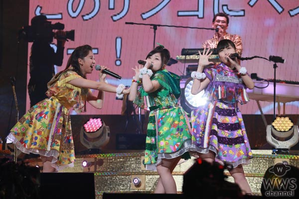 ピコ太郎の日本武道館ライブにLiSA、サイサイ、ももクロ派生ユニット・マス寿司三人前など様々なゲストが次々と登場！