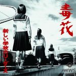 新しい学校のリーダーズがメジャーデビューシングル『毒花』のリリースイベントスケジュール＆予約特典を発表！