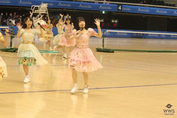 さくらシンデレラが東京体育館で可愛いすぎる 元気いっぱいのパフォーマンス！6thシングル『ほしがりガール』ほか全3曲を披露！
