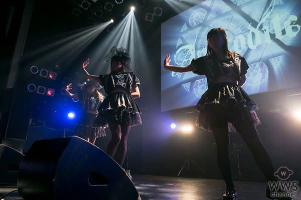 ゴシックアイドルAphrodite、TSUTAYA O-WESTで3ヶ月連続シングル発売を記念し、ワンマンを実施！漆黒の世界に墜ちた黒い天使たちと作りあげた嘆きと興奮の景色！