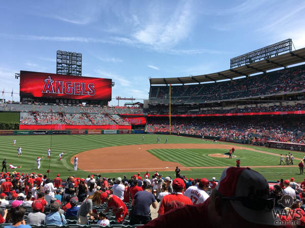 大谷投手の12奪三振の快投劇【#ShoTime】を生観戦！【勝利の女神】と呼ばれるこの美少女は？