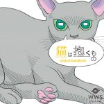 水曜日のカンパネラ、初の劇伴作品「猫は抱くもの（オリジナルサウンドトラック）」をデジタルリリース決定！