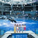 リトグリ 3年連続アクアパーク品川とコラボ！今年はいきものがかり水野良樹×気鋭の詩人最果タヒ曲で魅せる！