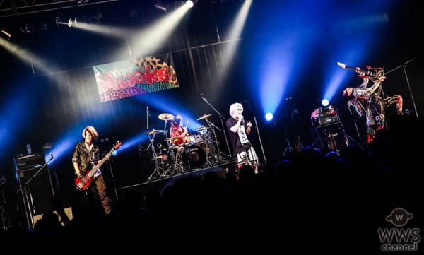 VisUnite主催のフェスイベント「VisUnite Fest Special Edition Vol.3」、大盛況！ ヘアメイクや占い、TENGAブースまで楽しめる破天荒なイベント！！