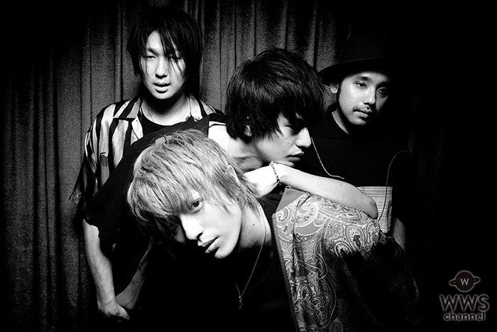 NICO Touches the Walls、10月、11月に”N X A”TOUR追加ホール公演決定！！