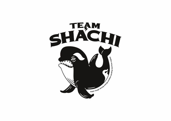 チームしゃちほこ改め、4人体制による新生「TEAM SHACHI」が始動！2019年2月発売のニューミニアルバムより、新曲「DREAMER」の配信開始！