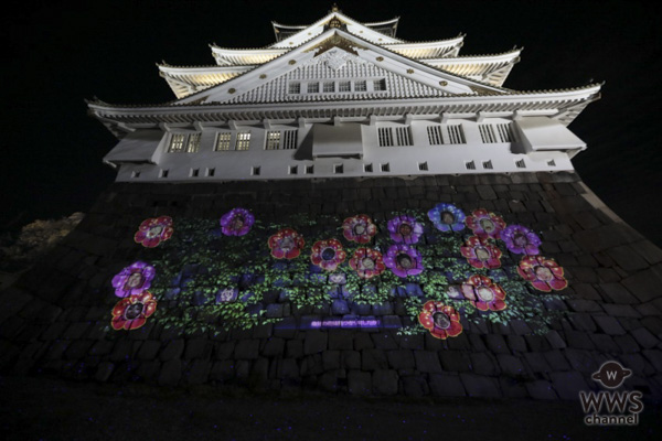 霜降り明星、NMB48らが体験型ナイトウォーク『SAKUYA LUMINA（サクヤルミナ）』内覧会に参加！