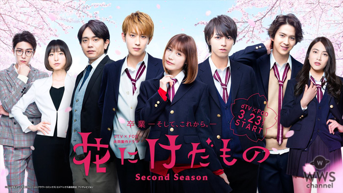 劇団EXILE・青柳翔、稲葉友、篠田麻里子の出演決定！ドラマ「花にけだもの〜Second Season〜」新キャスト発表！！