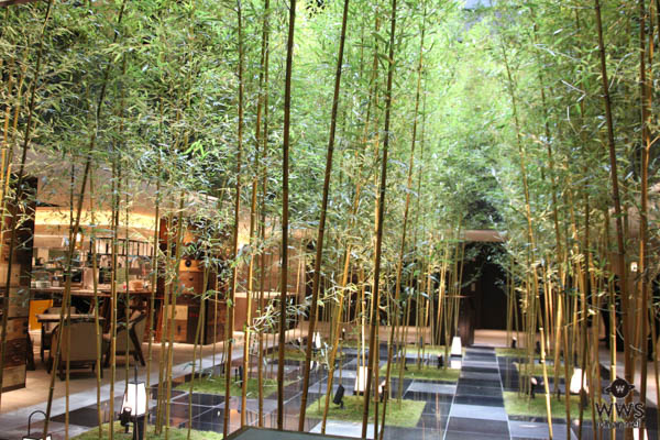 大正ロマン溢れる「京都 悠洛ホテル M ギャラリー」が4月26日京都・三条にオープン！自然光が降り注ぐ吹き抜け空間に圧倒される！