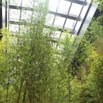 大正ロマン溢れる「京都 悠洛ホテル M ギャラリー」が4月26日京都・三条にオープン！自然光が降り注ぐ吹き抜け空間に圧倒される！