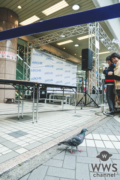 さくらしめじ、野音単独ライブに向けて “原点”大宮の地でライブ「僕らが巡り会えたのは奇跡」