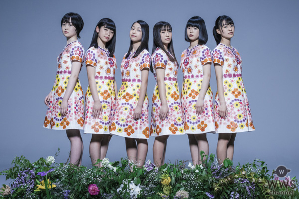STU48、夢みるアドレセンスの出演決定！『TIF2019』第8弾出演者発表！