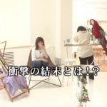 日向坂46、2ndシングル『ドレミソラシド』特典映像が公開！