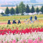 AKB48、原点回帰を目指す新曲『サステナブル』MV公開！センター矢作萌夏「激エモな内容が詰まってます」