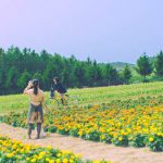 AKB48、原点回帰を目指す新曲『サステナブル』MV公開！センター矢作萌夏「激エモな内容が詰まってます」