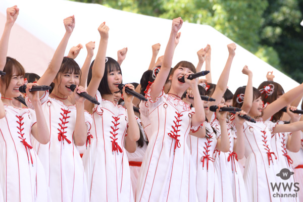 【写真特集】NGT48が『TIF2019』で活動再開 「ゼロ」からのスタートに ＜TOKYO IDOL FESTIVAL 2019＞