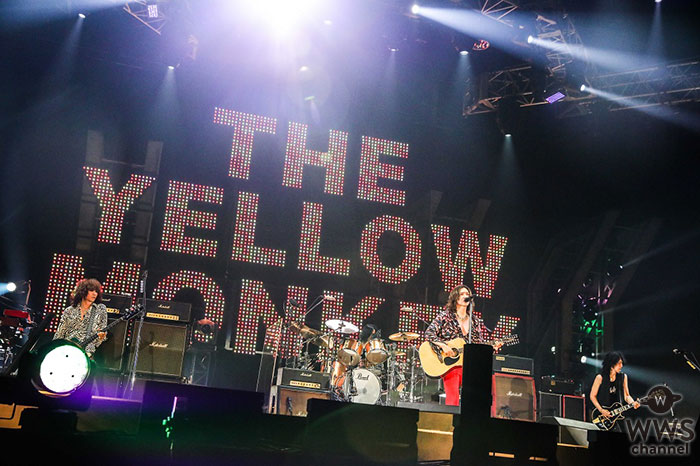 THE YELLOW MONKEY、アリーナツアーのファイナルを迎え全4セットリストのプレイリストを公開！