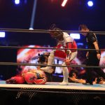 【写真特集】新日本プロレス、獣神サンダー・ライガーが２日目引退試合で最後の勇姿！高橋ヒロムとの緊張感溢れるバトル＜WRESTLE KINGDOM 14 in 東京ドーム＞