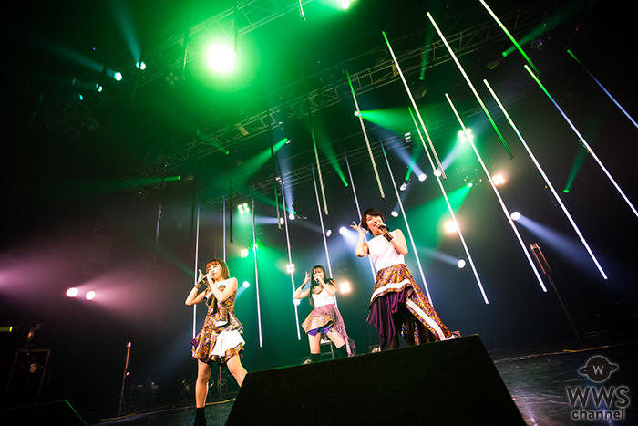 kolme、結成５周年！ライヴツアー「kolme Live Museum -Do you know kolme?-」がスタート！