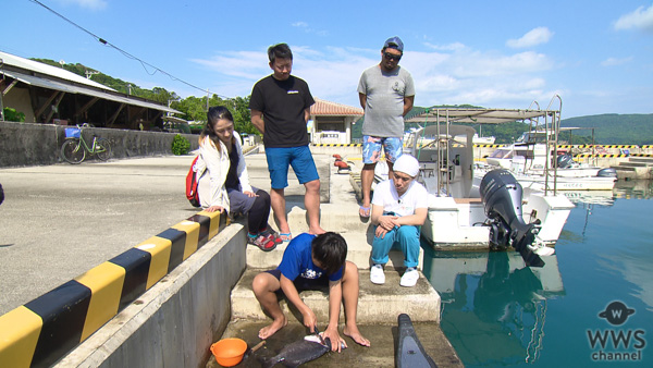 ますだおかだが引越しを通して人々の人生に触れる。「依頼人たちに勇気づけられました」