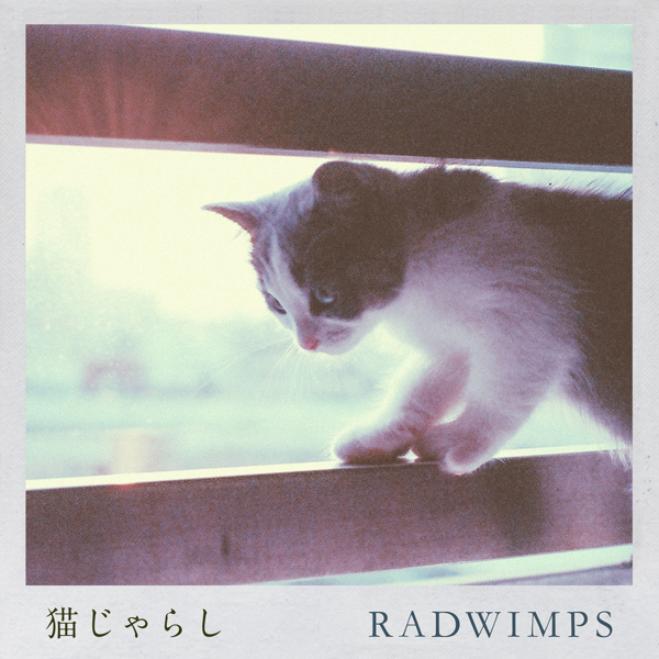 RADWIMPS、「猫じゃらし(Orchestra ver.)」ミュージックビデオ公開