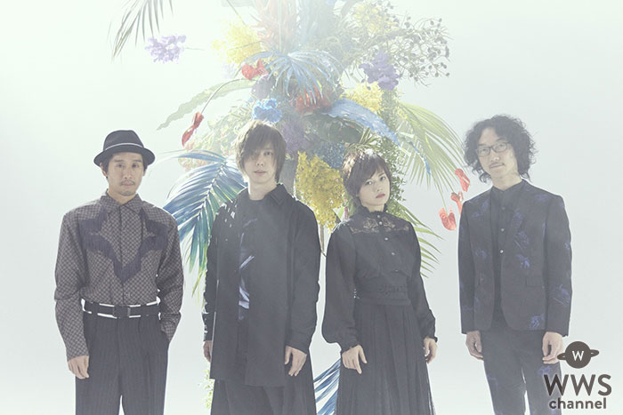 FLOWER FLOWER、6月14日配信ライブ「インコの気まぐれ」開催！「新しい試み、愛を込めて。」