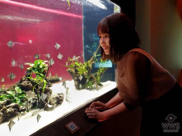 丸りおなが 7/17(金)オープン「カワスイ川崎水族館」をレポート！ジャングルのような大自然から巨大水槽まで最先端の空間が圧巻！