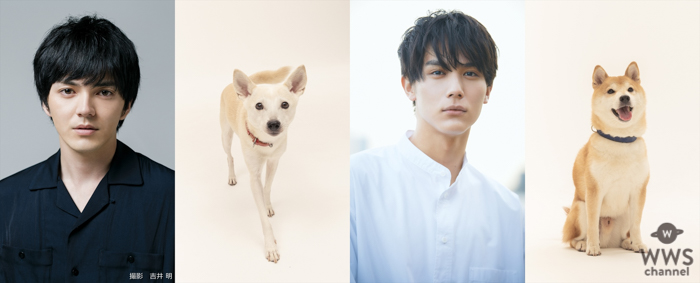 林遣都と中川大志が共演！映画『犬部！』2021年に公開