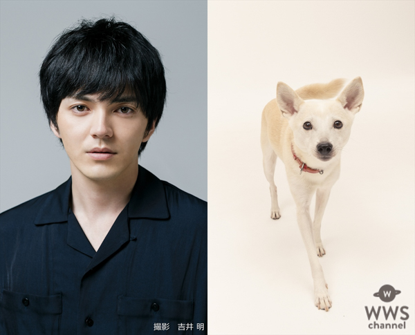 林遣都と中川大志が共演！映画『犬部！』2021年に公開