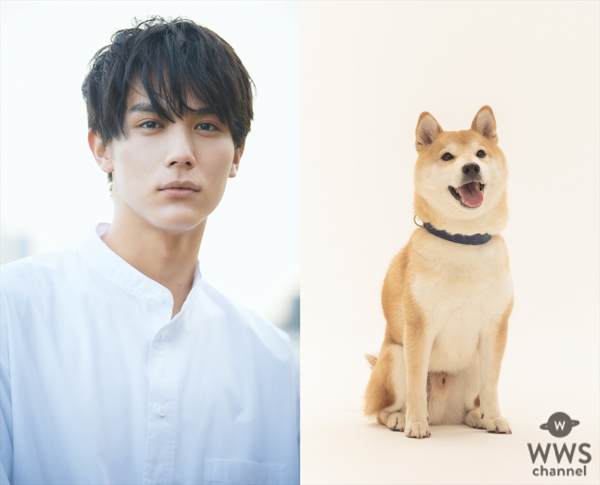 林遣都と中川大志が共演！映画『犬部！』2021年に公開