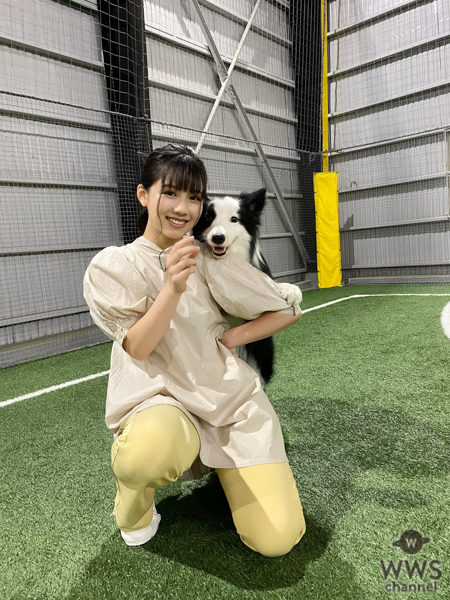 日向坂46が「どうぶつピース！！」スタジオに大集合！丹生明里と渡邉美穂はドックダンスに挑戦