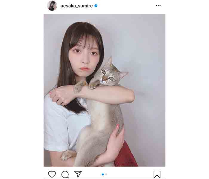 上坂すみれ、嫌がる愛猫との2ショットに反響！「嫌がる時も真顔ですね」