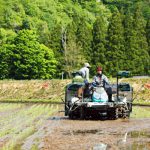 橘ケンチ、新政酒造との至高のコラボ日本酒「涅槃龜橘」発売日が決定！