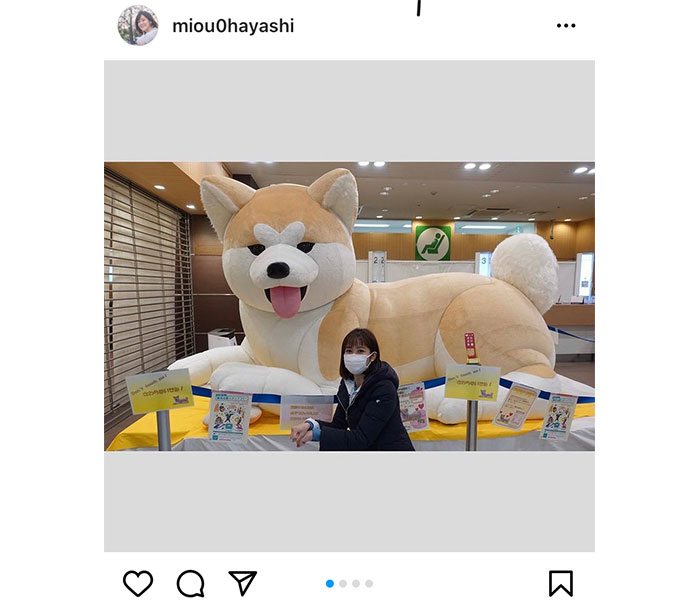 林美桜アナウンサー、八王子駅の巨大な秋田犬とご対面「ふわふわで大きかったです」