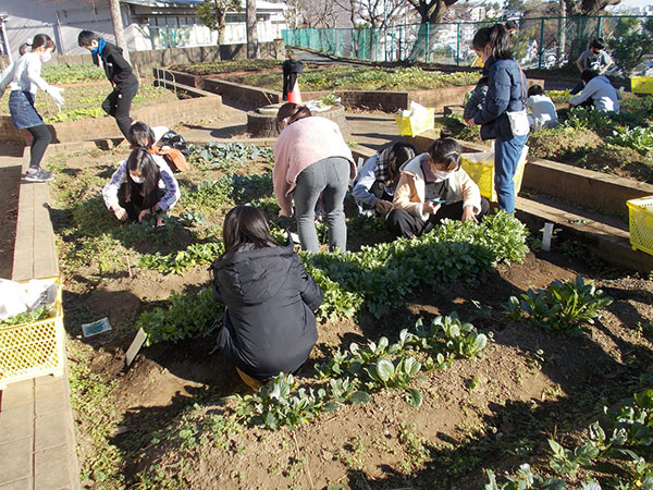 横浜高島屋、地元・横浜の浅間台小学校の児童たちが育てた野菜を使ったスウィーツを販売！