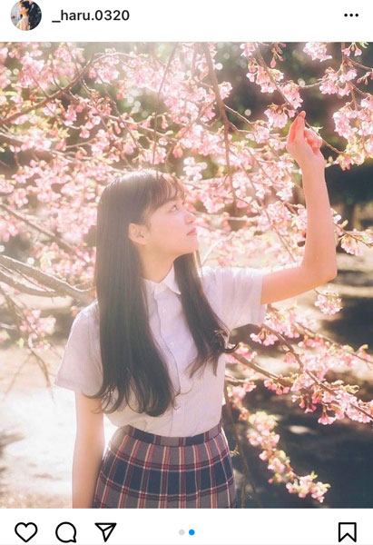 吉澤遥奈、桜に微笑みかける可憐なポートレートに反響「レコードのジャケット写真にしたい景色」