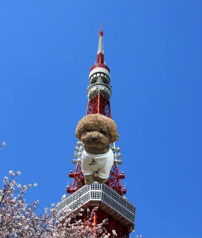 川村那月、「ライバルはキングコング？」な東京タワー登頂写真にツッコミ多数！
