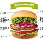フレッシュネス『ガーデンサラダバーガー』新発売