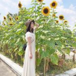 NMB48 加藤夕夏、向日葵畑で過ごすサマーショット公開