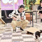 えなこ、猫の魅力を伝える『猫特化型バラエティ』がスタート