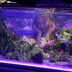 平均年齢17歳！次世代ガールズユニット・iScream、 新曲『茉莉花 -Jasmine-』MV100万回再生突破！！
