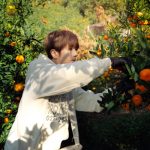 Nissy（西島隆弘）が地域創生プロジェクト始動！第1弾は松山のみかんの魅力を発信