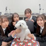 わーすたが謝罪会見！？犬への謝罪ソングを発売か？