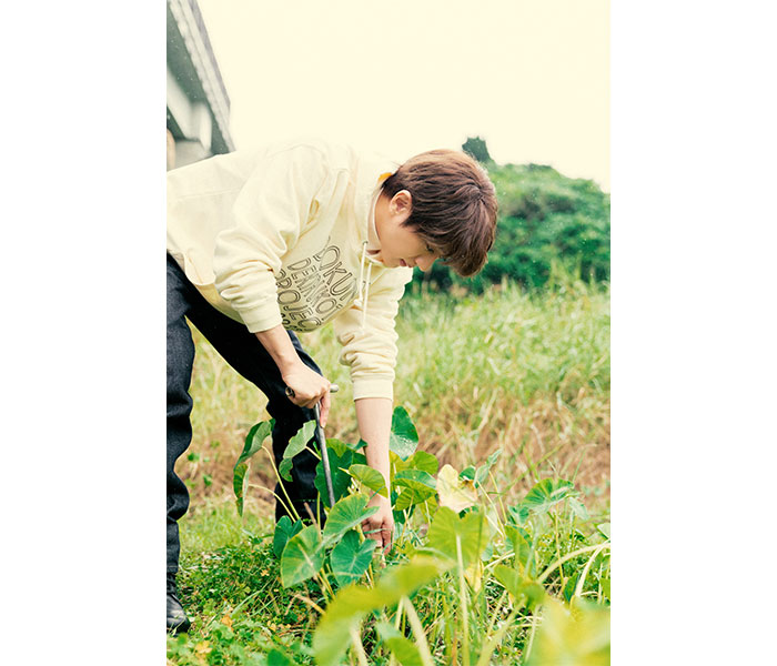 Nissy（西島隆弘）×ANAあきんど地域創生プロジェクト第2弾を発表！元祖タコライス発祥の地・沖縄県金武町を訪れる