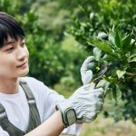 神木隆之介の高知ガイドブック『かみきこうち』から先行カットが公開